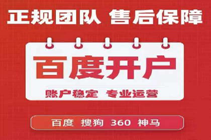 SEM搜索引擎优化：成功案例解析